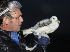 Wouter met Noordse Stormvogel (Martijn de Jonge)