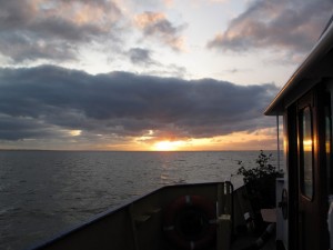 Zonsopkomst met Pelagisch Bosje (Foto: BartVastenhouw)